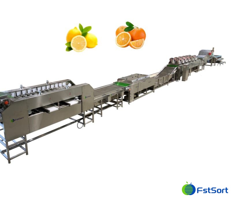 images/1649317021354lemon sorting line1.jpg